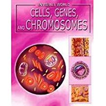 Cells, Genes, And Chromosomes (Invisible World)